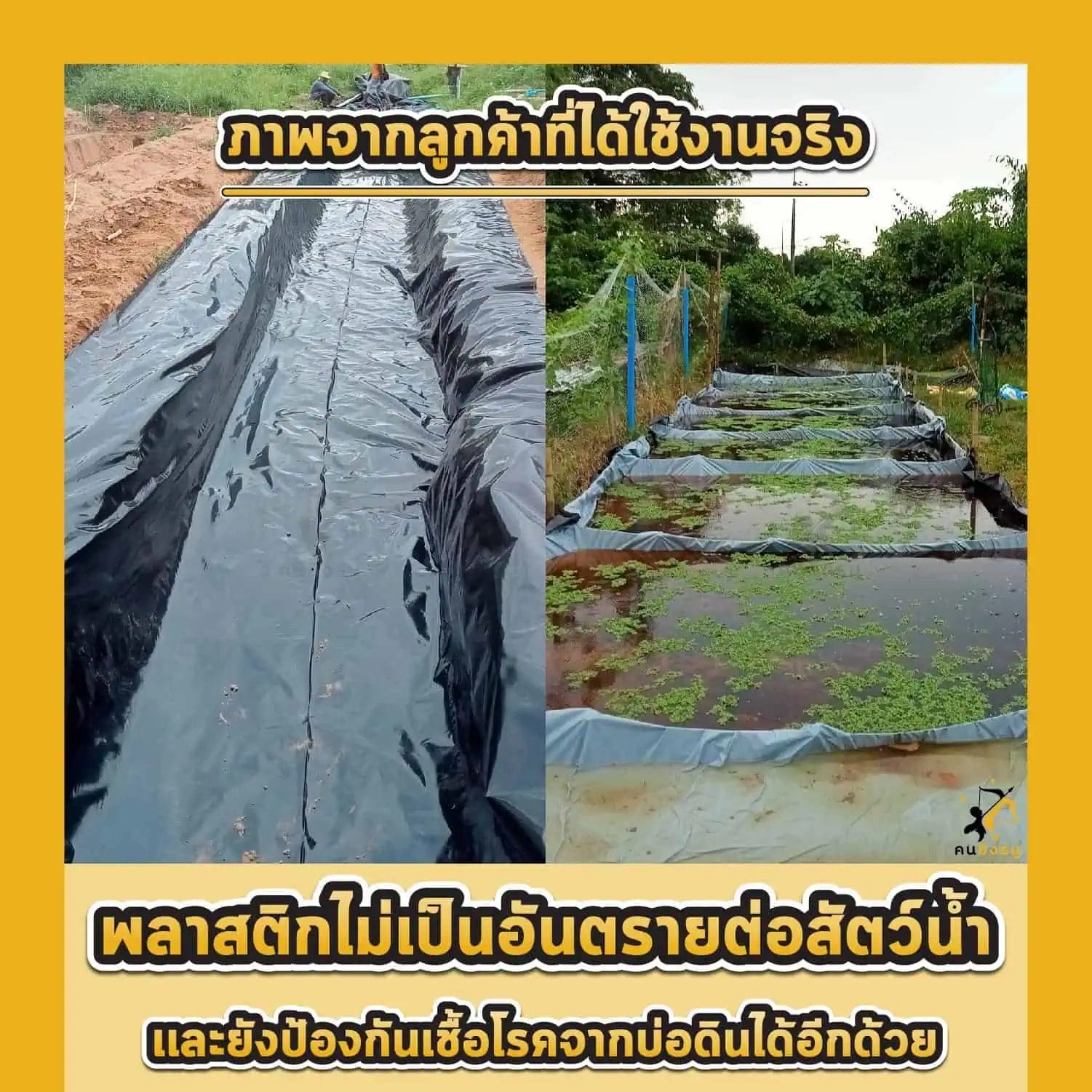 ปูบ่อปลา