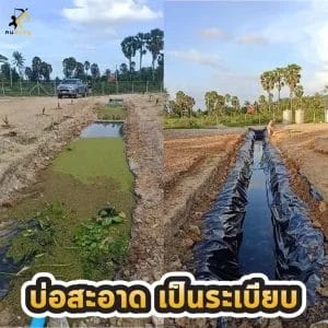 คลองไส้ไก่น้ำสะอาด