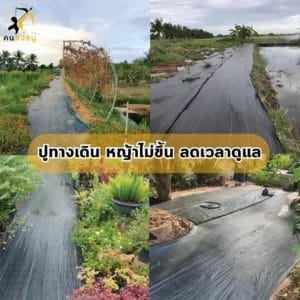 ลดการใช้สารเคมี