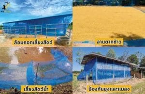 ตาข่ายไนล่อนสีฟ้า 