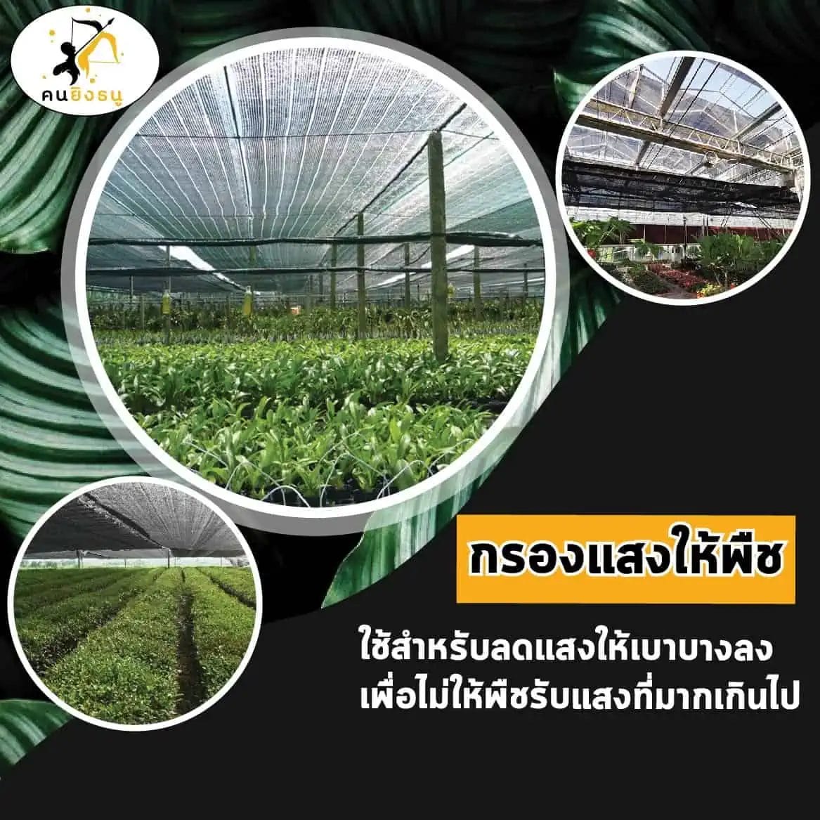 สแลนเพาะกล้า