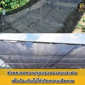 ลดความเสียหาย 