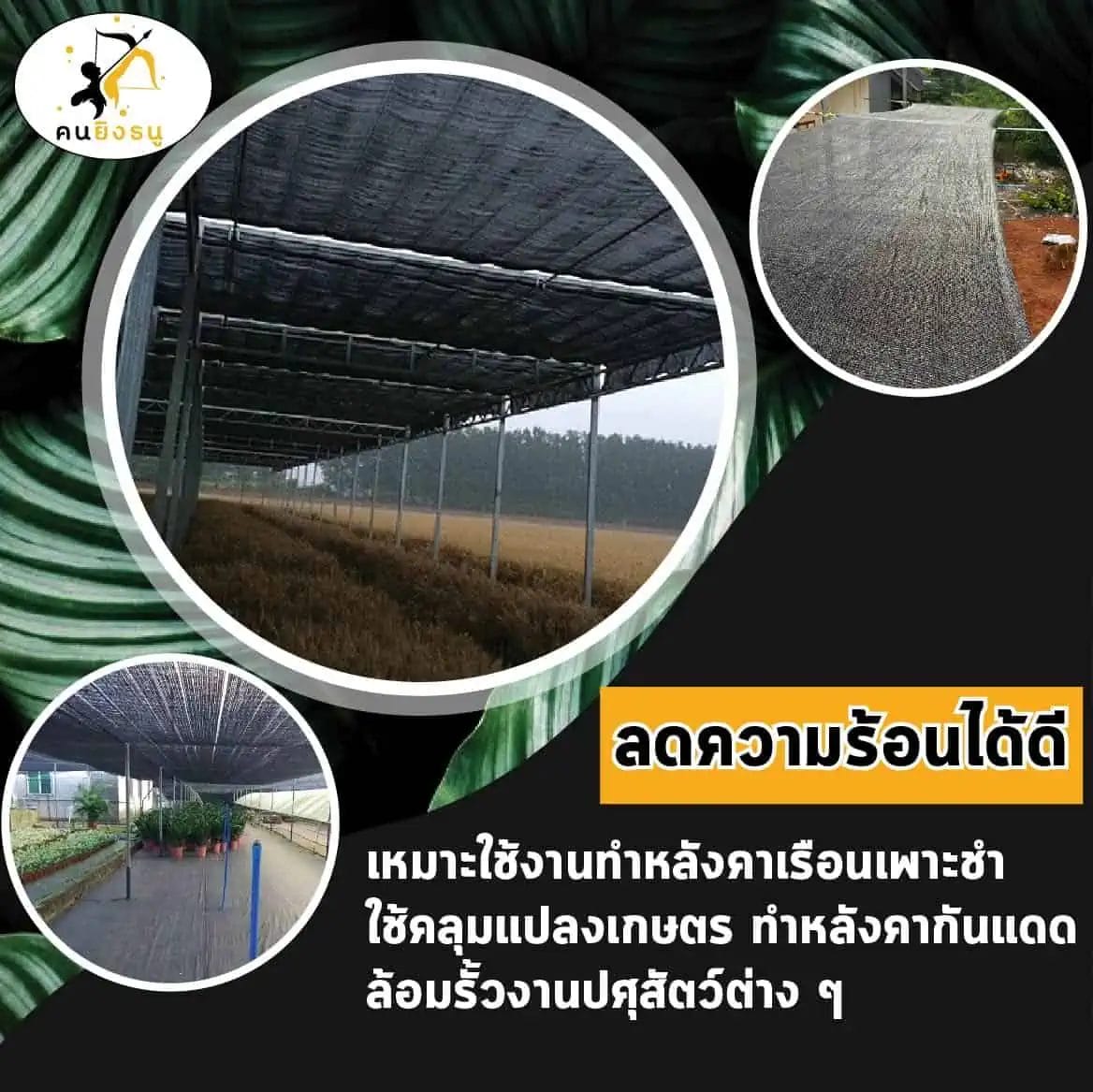 ลดความร้อน