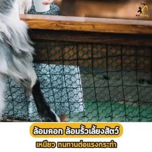 ล้อมคอกเลี้ยงสัตว์ 
