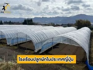 ใช้ในหลายประเทศ 