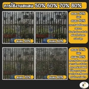 การกรองแสง 