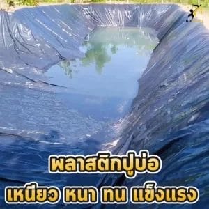 ผ้ายางปูบ่อเหนียวทน