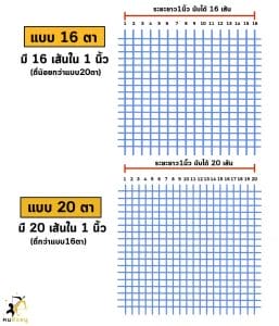 ขนาดตาของมุ้งฟ้า