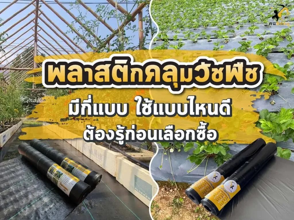 พลาสติกคลุมวัชพืชป้องกันหญ้า