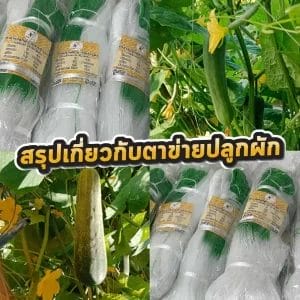 ค้างผัก 