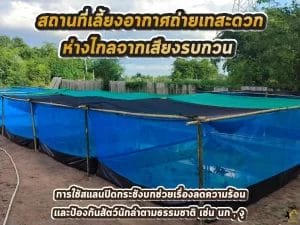 สถานที่สงบ 