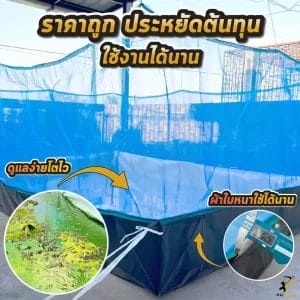 กระชังบก 