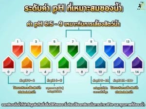 ค่าน้ำที่เหมาะสม 