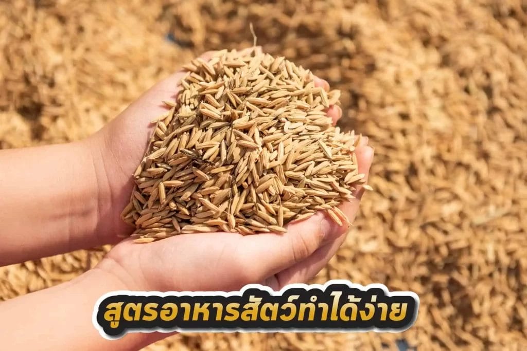วัตถุดิบอาหารสัตว์