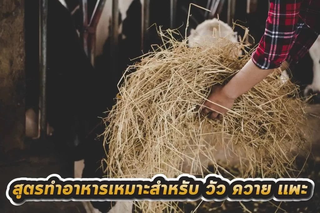 หญ้าแห้ง