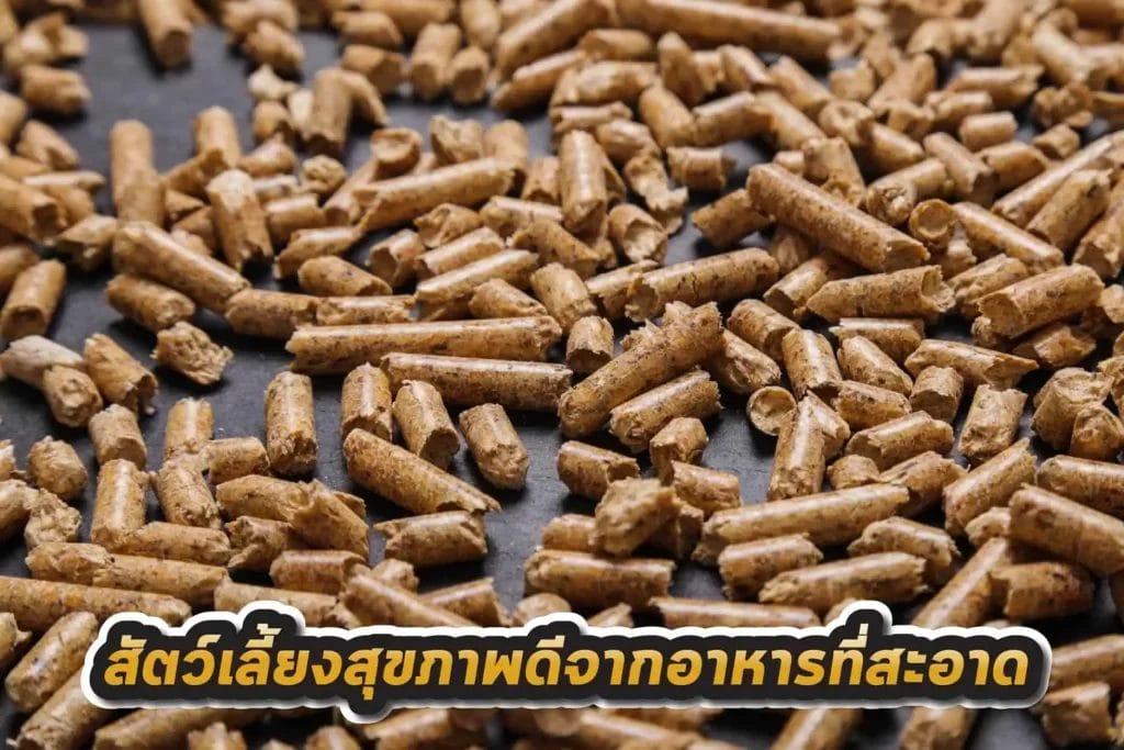 อาหารเม็ด