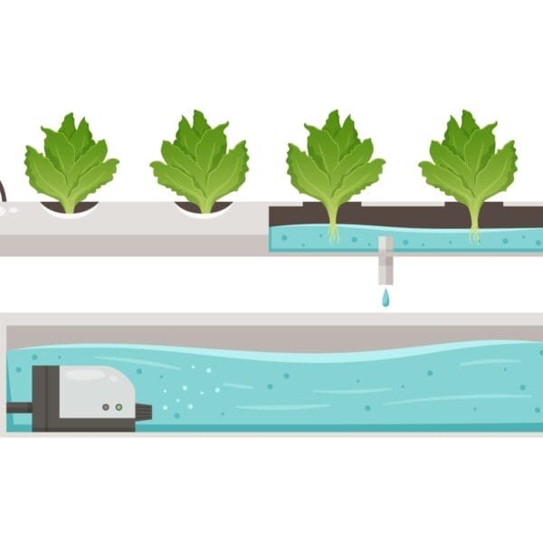 ระบบน้ำแบบใดที่นิยมใช้ที่สุดปลูกผักไฮโดรโปนิกส์