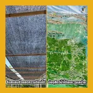 ป้องกันแสงแดด