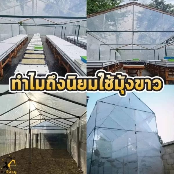 ตาข่ายโรงเรือนปลูกผัก