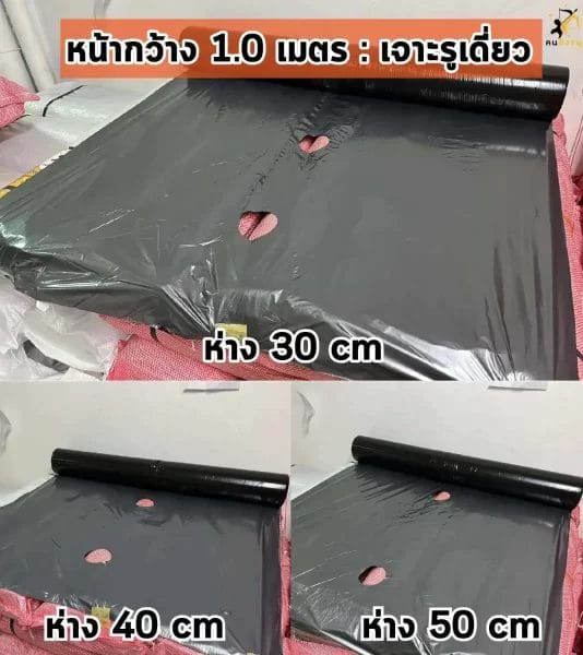 mulch film 1.0m single hole